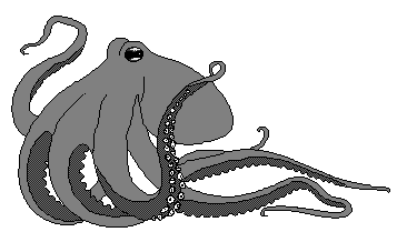 octopus 1