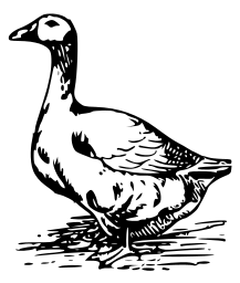 goose 4