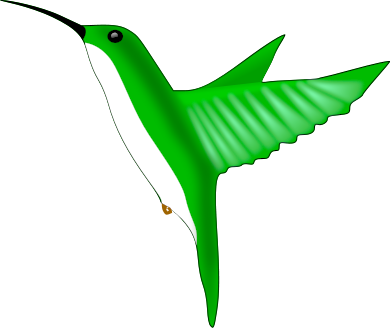 hummingbird green