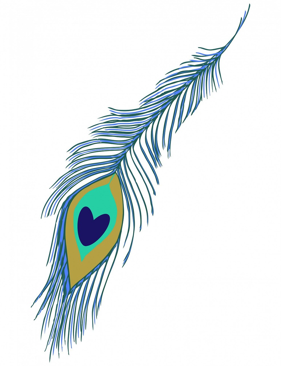 peacock-feather-2