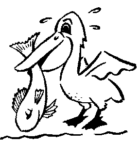 pelican fun