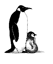 penguin w young