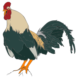 Rooster clipart 01