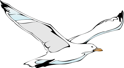 seagull clip art