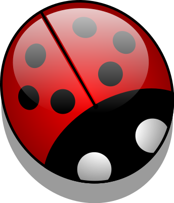 glossy ladybug