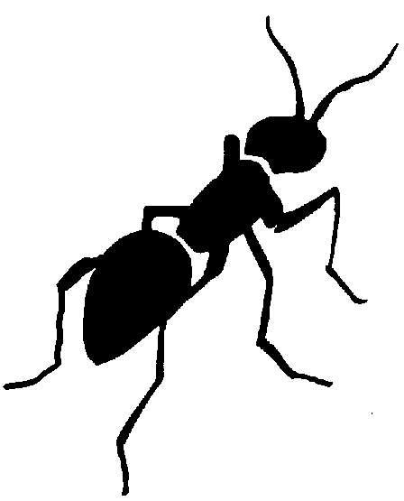 مورچه و بروکراسی