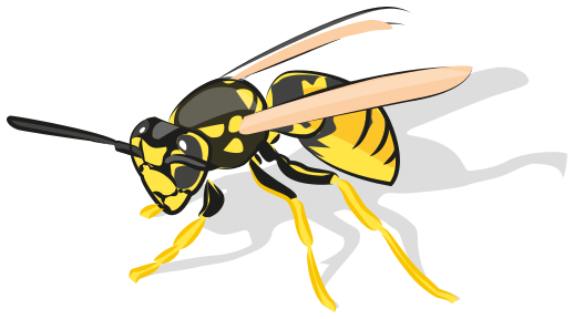 wasp vector