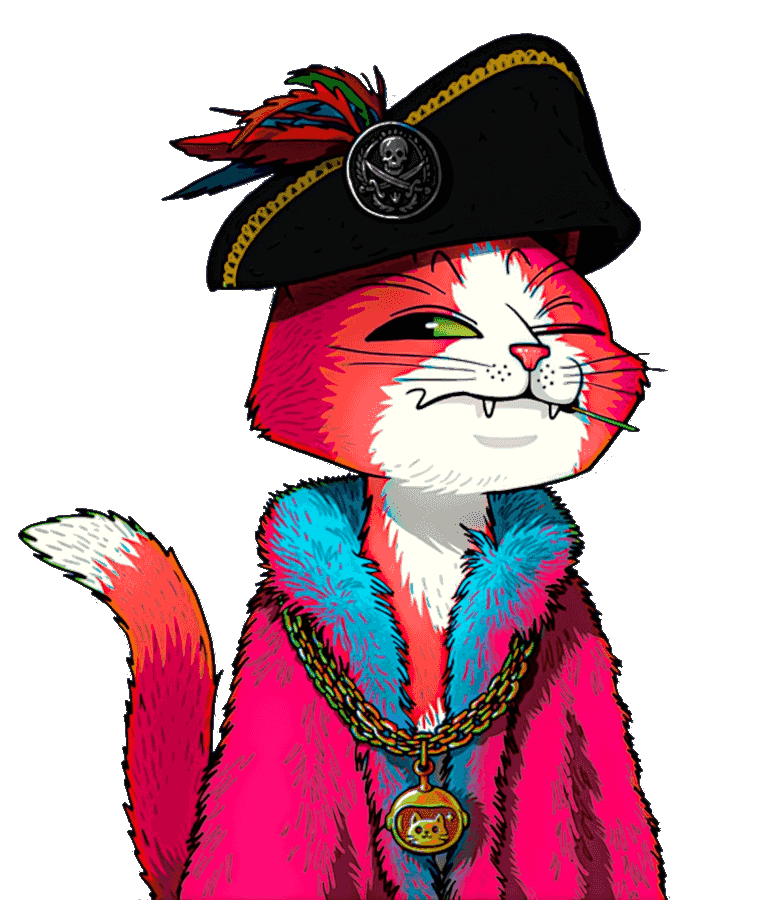cat-pirate