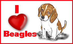 love beagles banner