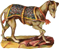 greyhound 1