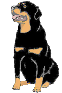 rottweiler sitting