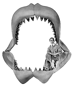 Megalodon shark jaw
