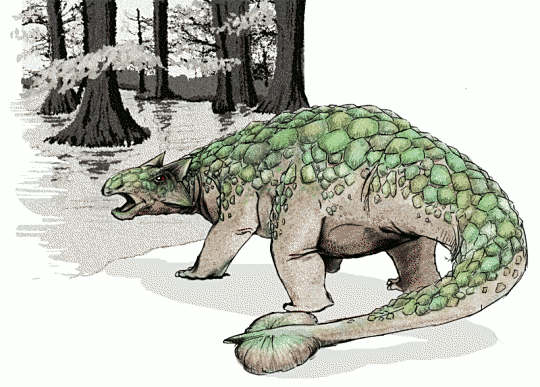Ankylosaurus 2
