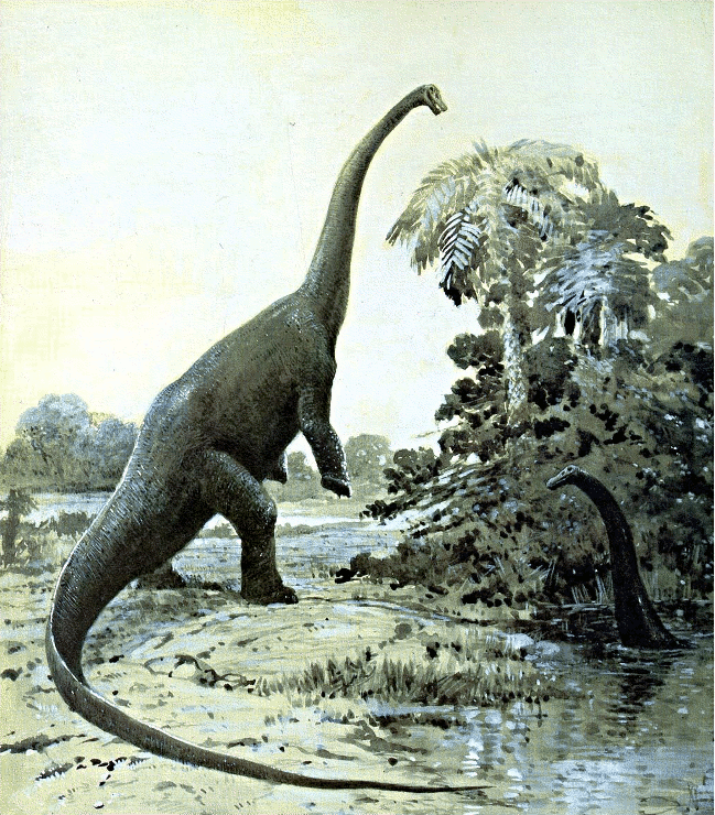 Diplodocus 3