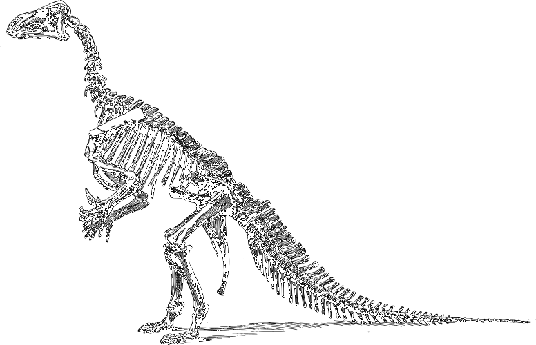 ignanodon skeleton