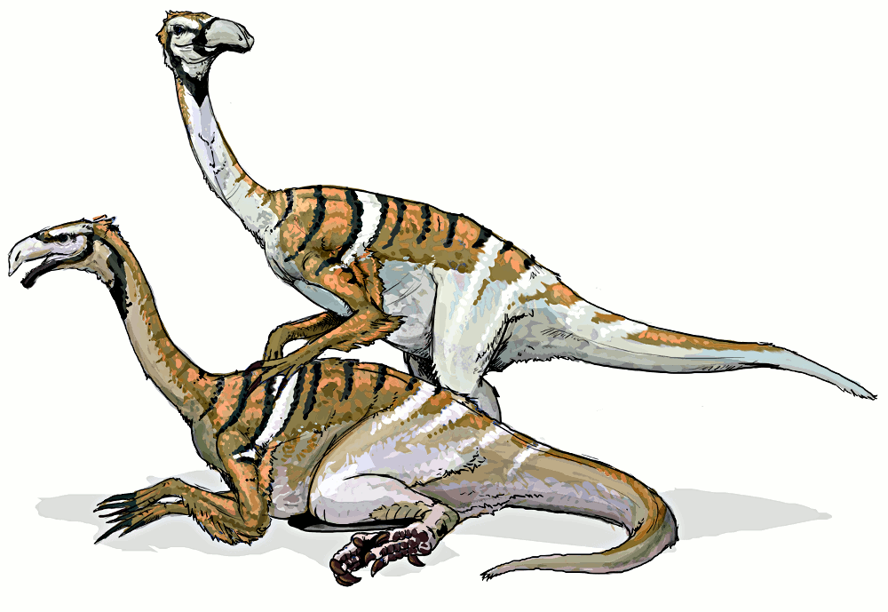 Nanshiungosaurus dinosaur