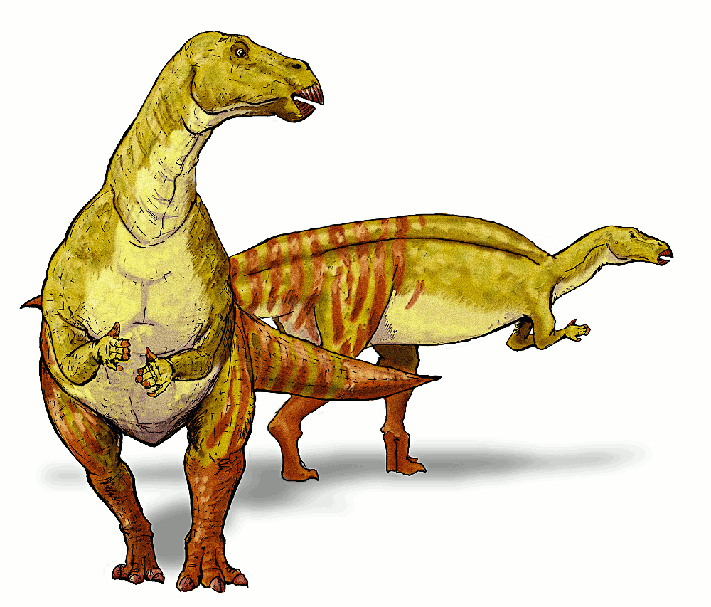 Nanyangosaurus dinosaur