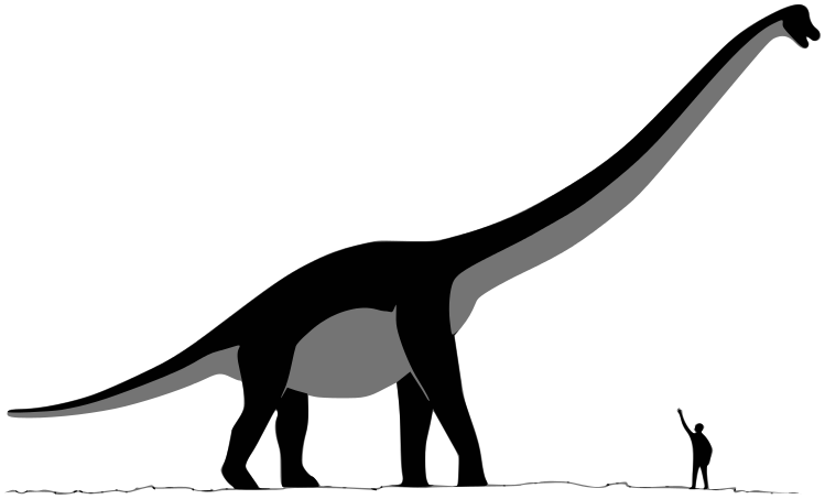 Sauroposeidon dinosaur