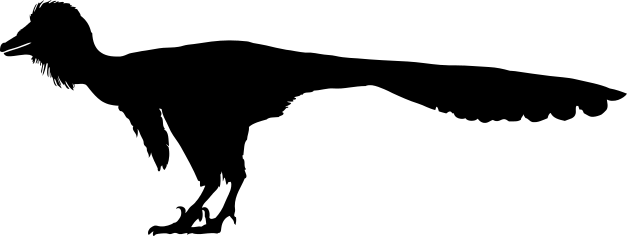 Troodon silhouette