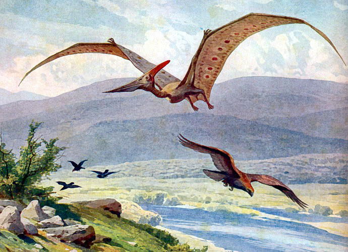 Pteranodon flying