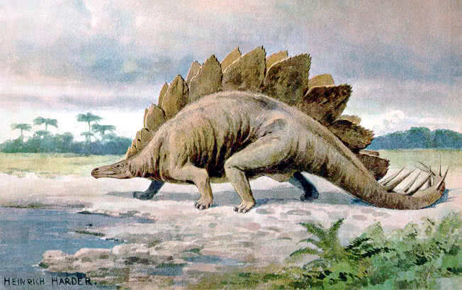 stegosaurus illustration