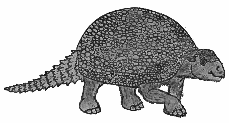Glyptodon art