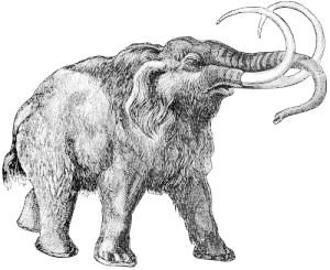 woolly mammoth 3