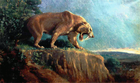 sabre_tooth/