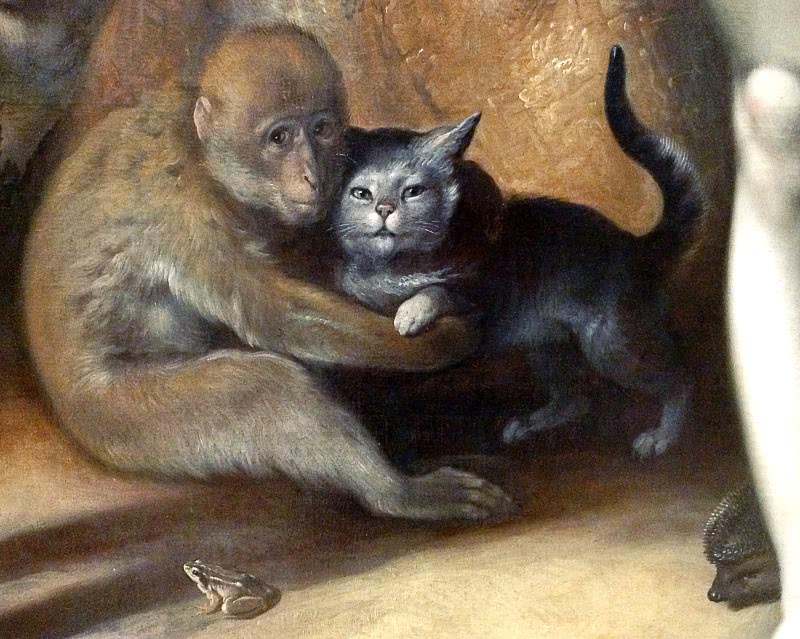 Monkey cat painting