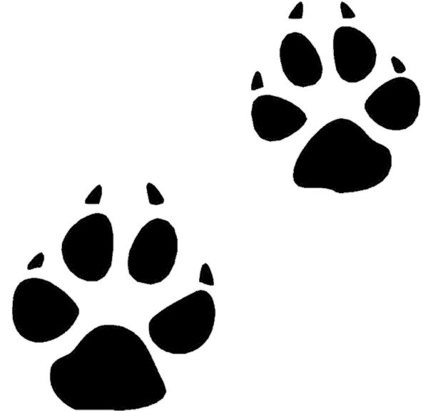free clipart animal footprints - photo #21