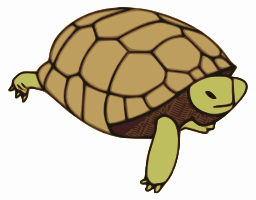 turtle 8
