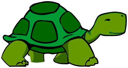 turtle walking