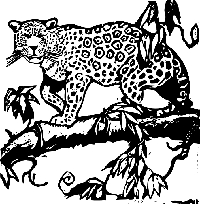 jaguar on tree limb