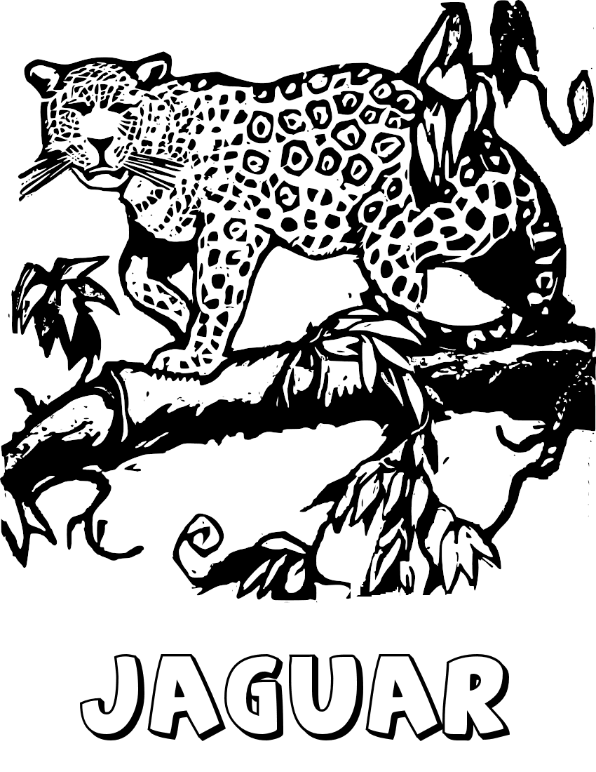 jaguar on tree limb coloring page