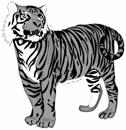 tiger 4