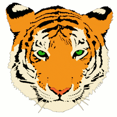 tiger head 2