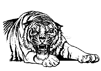 tiger mad