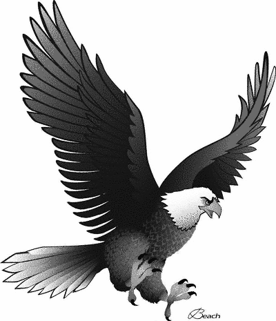 EAGLE AF 1 - public domain clip art image