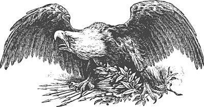 war eagle