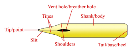 pen nib diagram