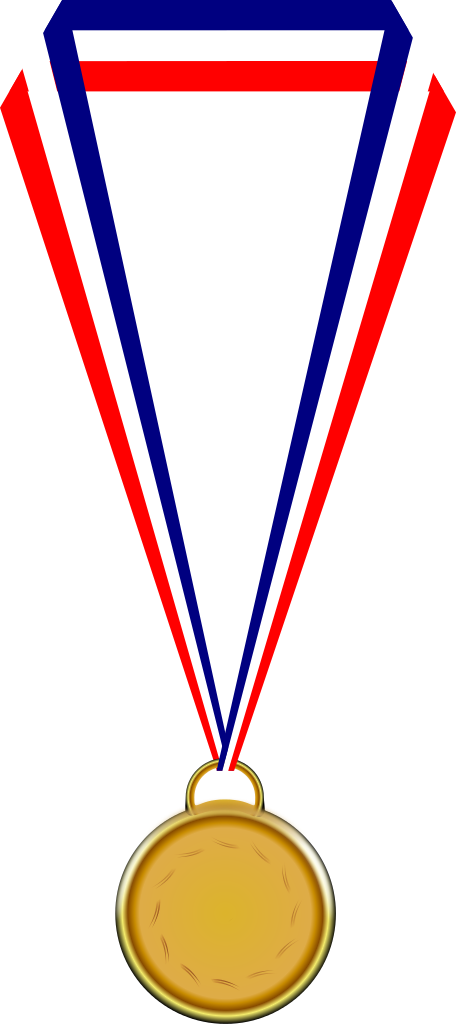 medal blank