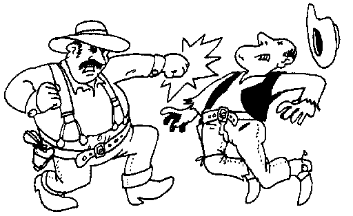 western fight