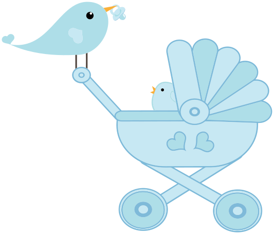 baby bird stroller