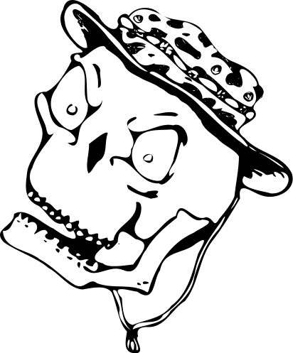 skull with boony hat