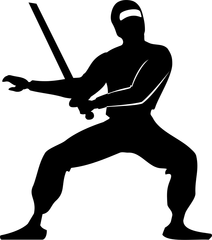 Ninja swordplay