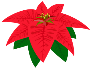 Christmas flower - /holiday/Christmas/decorations 