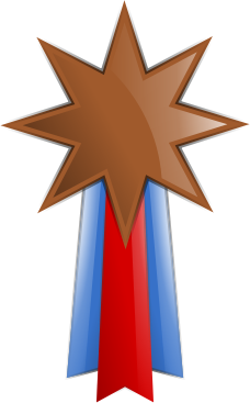 Bronze Medal 1