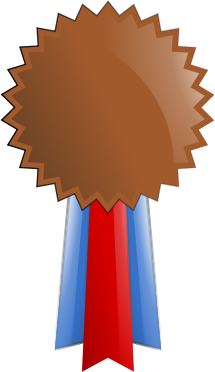 Bronze Medal 2