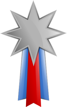 Silver Medal 1