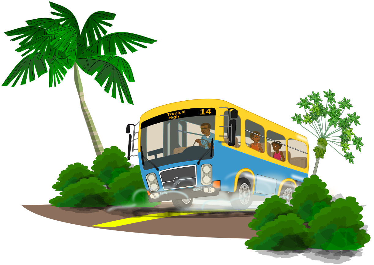 island school bus